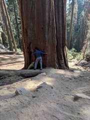 My vacation at Sequoia National Park