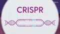 THE SCIENCE OF GENETIC ENGINEERING - Coolinventor Wiki